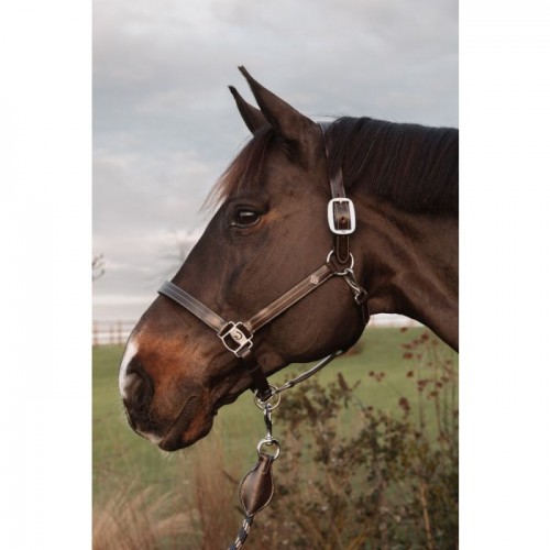 Dyon US Halter With Adjustment