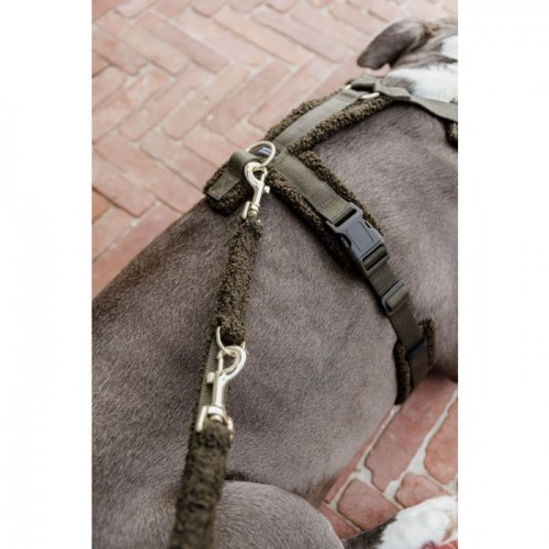 Kentucky Dog Leash Teddy Fleece 200cm