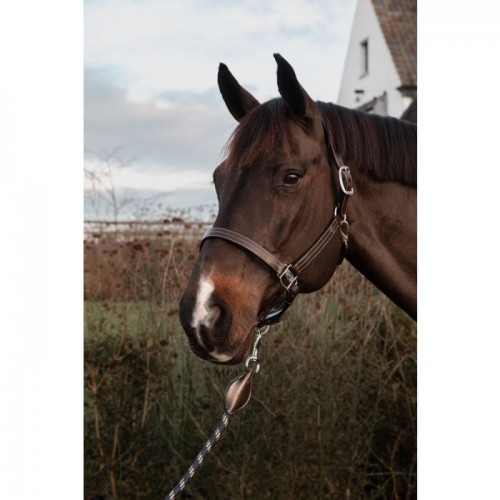 Dyon US Halter With Adjustment