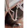 Kentucky Dog Leash Teddy Fleece 200cm