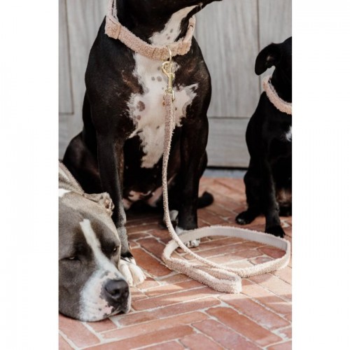 Kentucky Dog Leash Teddy Fleece 120cm