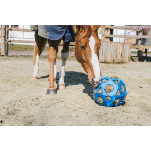 Kentucky Relax Horse Play