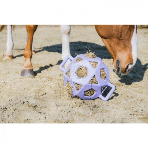 Kentucky Relax Horse Play