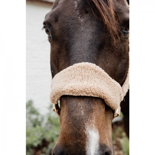 Kentucky Teddy Fleece Halter