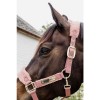 Kentucky Teddy Fleece Halter