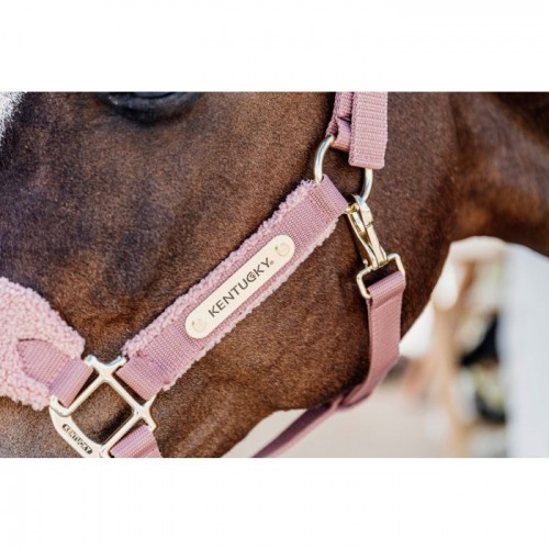 Kentucky Teddy Fleece Halter