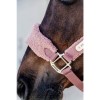 Kentucky Teddy Fleece Halter