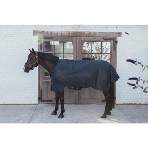 Kentucky Transport Combo Cooler Fleece Rug