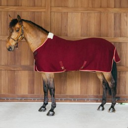 Kentucky Cooler Rug PROtherm