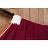 Kentucky Cooler Rug PROtherm