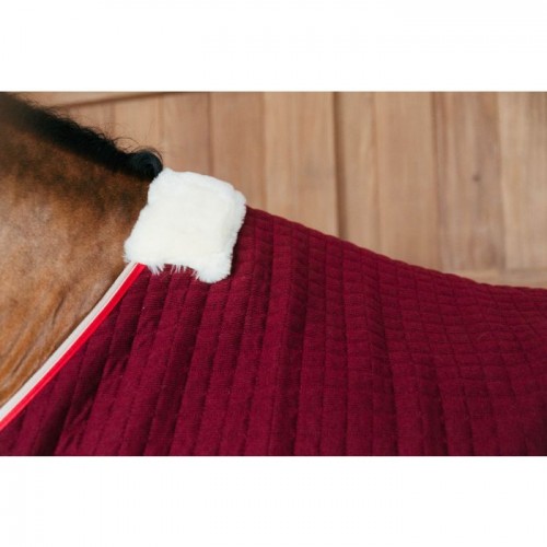 Kentucky Cooler Rug PROtherm