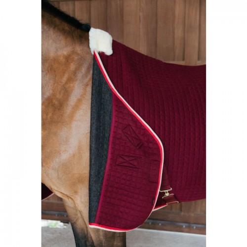 Kentucky Cooler Rug PROtherm
