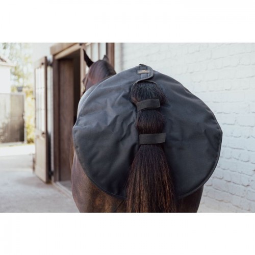 Kentucky Quarter Guard