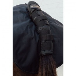 Kentucky Quarter Guard