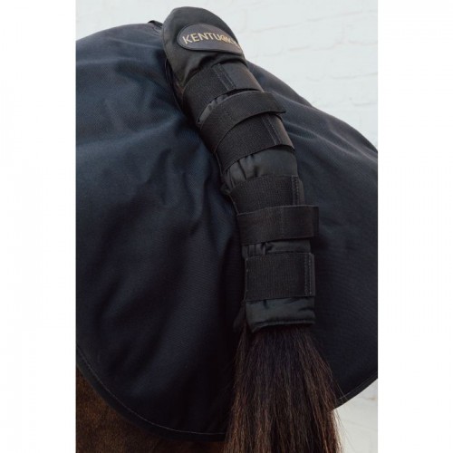 Kentucky Quarter Guard