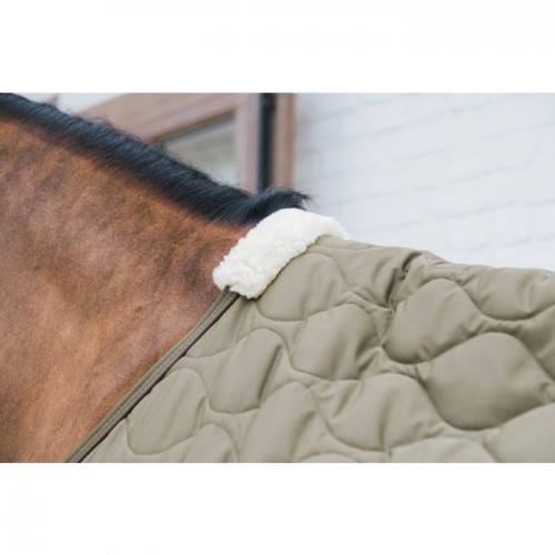 Kentucky Transport Combo Cooler Fleece Rug