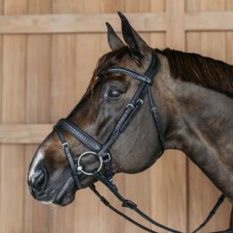Dyon Plaited Flash Noseband Bridle with Pull back New English Collection