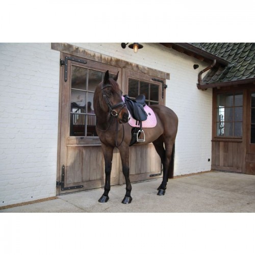 Kentucky Sammy Collection Dressage Pad