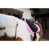 Kentucky Sammy Collection Jumping Saddle Pad