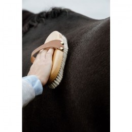 Grooming Deluxe Overall Brush Body Soft Shine