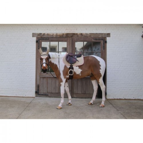 Kentucky Softshell Onion Quilt Jumping Saddle Pad