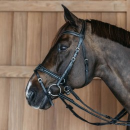 Dyon Working Motion Bridle