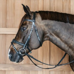 Dyon Working Motion Bridle