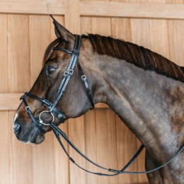 Dyon Round Leather Bridle Working Collection