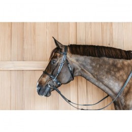 Dyon Round Leather Bridle Working Collection