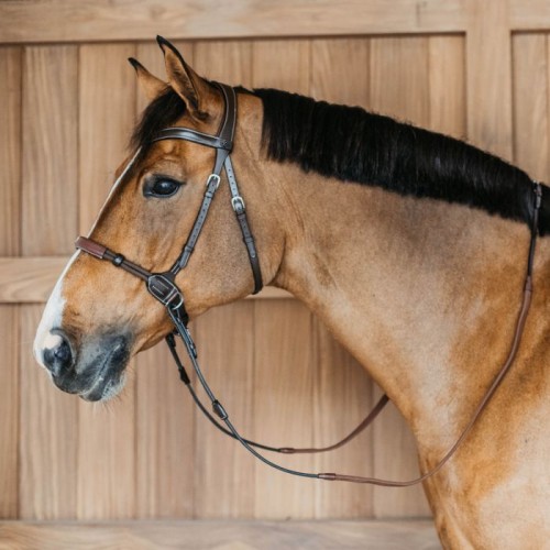 Dyon Bitless Bridle Working Collection