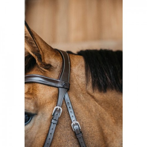Dyon Bitless Bridle Working Collection