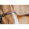 Dyon Bitless Bridle Working Collection