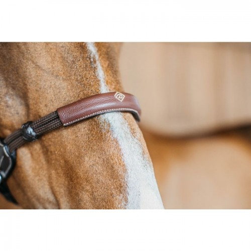 Dyon Bitless Bridle Working Collection