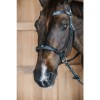 Dyon Bitless Bridle Working Collection