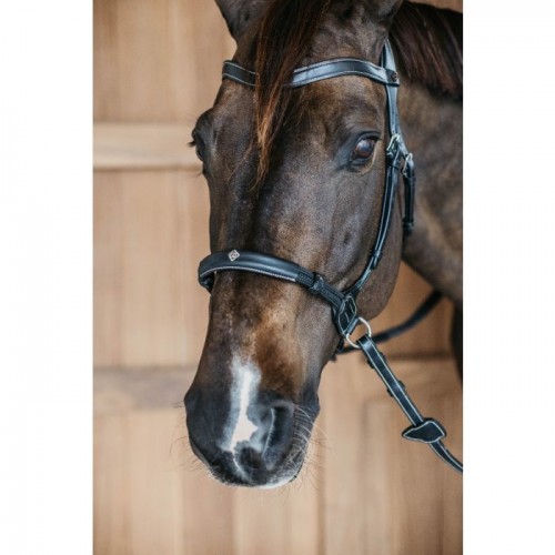 Dyon Bitless Bridle Working Collection