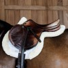 Kentucky Hunter Vegan Sheepskin Saddle Pad Jumping