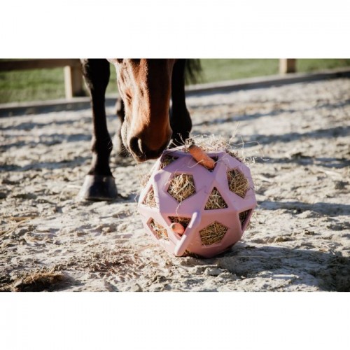 Kentucky Relax Horse Play