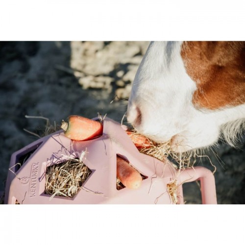 Kentucky Relax Horse Play