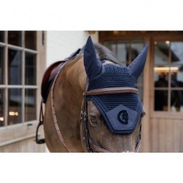 Kentucky Earnet Wellington 3D Logo