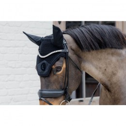 Kentucky Earnet Wellington 3D Logo