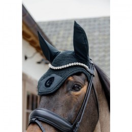 Kentucky Earnet Wellington 3D Logo