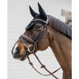 Dyon Plaited Flash Noseband Bridle with Pull back D Collection