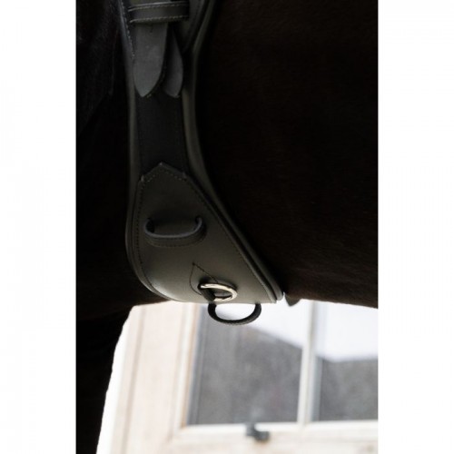 Kentucky Anatomic Short Girth