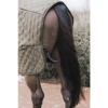 Kentucky Show Rug 160g Khaki