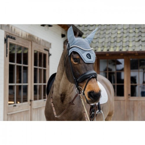 Kentucky Earnet Wellington 3D Logo