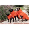 Kentucky Dog Coat Winter Pina