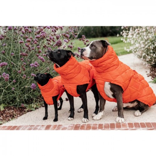 Kentucky Dog Coat Winter Pina