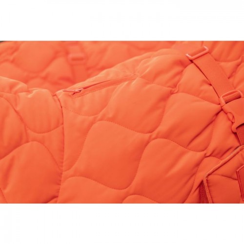 Kentucky Dog Coat Winter Pina