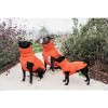 Kentucky Dog Coat Winter Pina