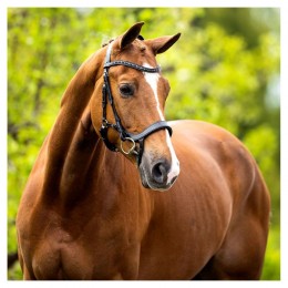 BR anatomic bridle "Mirfield"